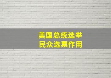 美国总统选举 民众选票作用